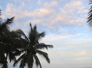 Kokrobite beach Residences and Spa - 0