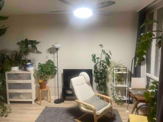 Cozy, green studio with a balcony in Berlin - 7