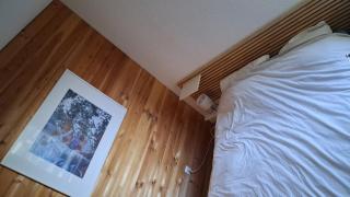 Les Isards Pied des pistes - 2