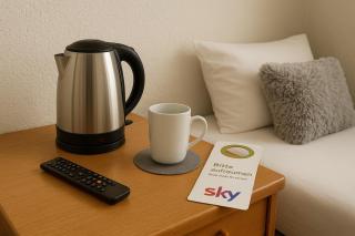 Hotel Nassauer Hof Frankfurt Jahrhunderthalle Süwag Energie Arena - 6