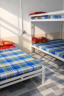 Vườn Dừa Cam Bình 1 - 5