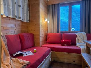 Studio Champaign Powder balcon vue exceptionnelle - 9