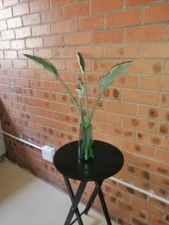 340 on Mahatma Gandhi Road - Durban - 1