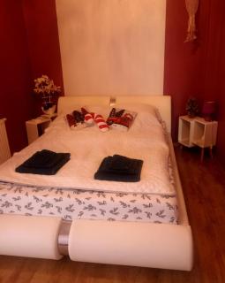 Apartament EWCIA - Międzybrodzie Bialskie - 8