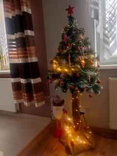 Apartament EWCIA - 6