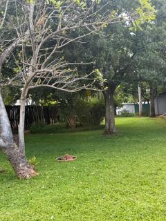 La Bushka Guest House - Bela-Bela - 7