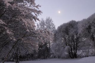 Motelli Nuttulinna - 2