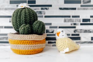 New Golden Girls Home at Downtown, 6th Street - 7