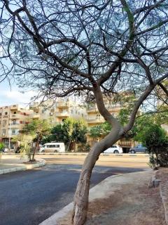 Zayed Gem Fast WiFi 3BR Near Grand Egyptian Museum - 2