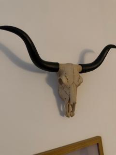 Creative and Stylish Themed Stay - 2