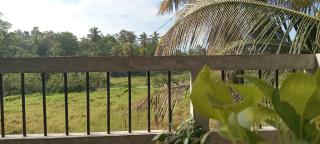 Guruwaththa Eco Lodge - Hikkaduwa - 7
