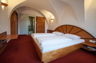 Hotel Gasthof Sonne - Aschach an der Donau - 4