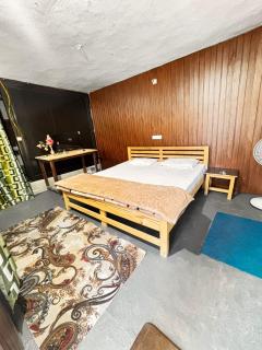 Old riya valley homestay riya gaon near naina gaon nainital - Patwa Dunga - 1