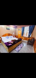 Tirthan Nature Lap Homestay - Gushaini - 7