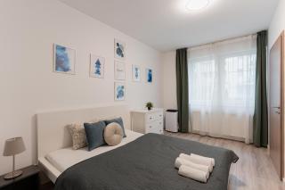 Central Delux Akácfa Apartment with 3 Bedroom - 8