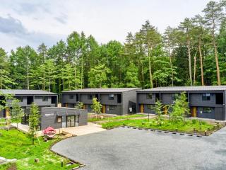 Rakuten STAY VILLA Fuji Kawaguchiko Forest 2LDK with sauna and terrace - 8