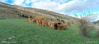 Apartamentos de Turismo Rural La Rocha - 8