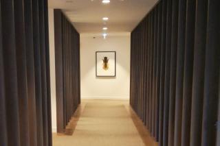 The Executive Garden Reisdence - 5