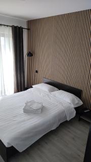 Vila Puiu Borsa MM - 8