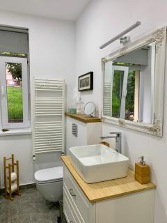 Dana House in Central Cluj - Cluj-Napoca - 3