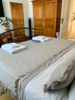 Dana House in Central Cluj - 1