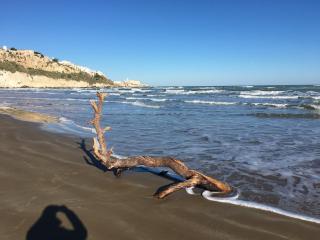 Medieval terraced house in Vieste Vecchia - Vieste - 0