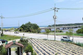 Gangneung Maison de Rose - 2