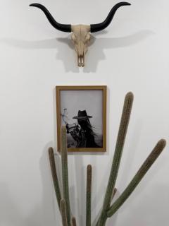 Cool, Cowboy Comfort Room in a Shared Space - 9