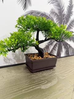 Cool, Cowboy Comfort Room in a Shared Space - 5