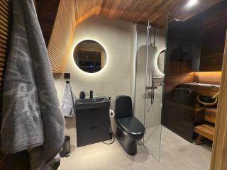 Levi Lapland Luxury Igloos D - 2