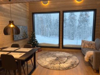 Levi Lapland Luxury Igloos D - 4