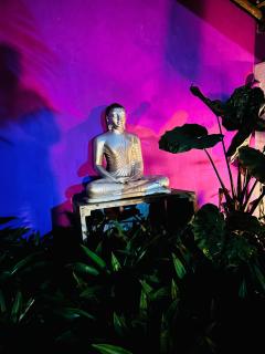 Turtle Eco Beach - 8