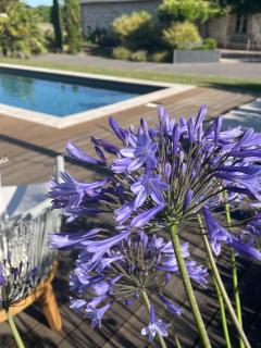 Manoir de la Nogrie, Gite La Grange cosy & chic, Spa, Piscine, Pétanque - 8