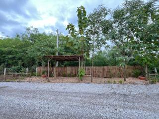 Bergen Resort เบอร์เกน รีสอร์ท - 1