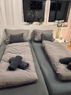 entzückende Ferienwohnung im Zentrum von Plauen - 2