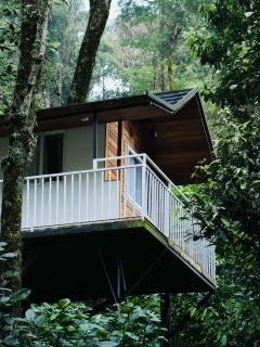 Fossil 900 Woods Resort - 3