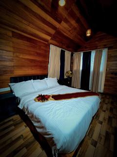 Fossil 900 Woods Resort - 1