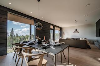 Fjällen Lumière Penthouse Ski-in Ski-out by Aavalevi - 4