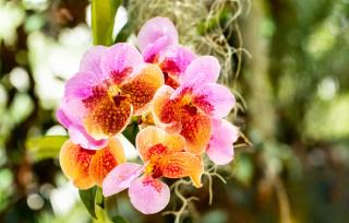 Le Malo Vacation Rental - 9