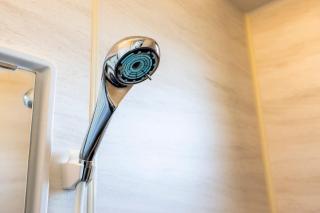 AMP FLAT MOMOCHi - 7