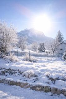 Ski - 1 Chambre - Jardin, parking, local vélo - 7