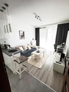 Tauron Arena Krakow One Bedroom Apartment with Balcony-Self Check-In - 5
