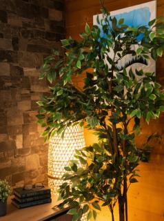 L'Étoile du Linga - 4