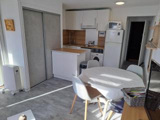 L'Artimon, T2 climatisé, parking - 9