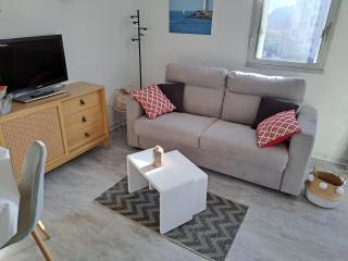 L'Artimon, T2 climatisé, parking - 0