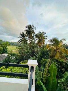 Blue Lotus Villa & Spice Garden - 8