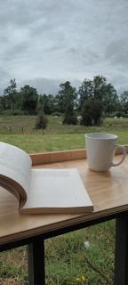 CasaGolondrina naturaleza y aves cercano a Frutillar - 0