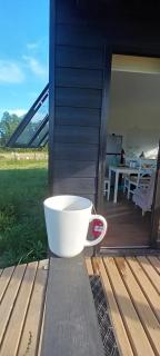 CasaGolondrina naturaleza y aves cercano a Frutillar - 8