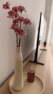 Luxury Downtown Apartment Bratislava - 5