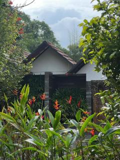 DJ River Meadows By Let's Inn - Panamaram - 3